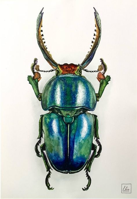 Modern Watercolor Paintings, Beetle Art, Animals And Birds, Bug Art, Watercolour Paint, Watercolor Paintings Easy, Beautiful Bugs, Insect Art, Little Critter