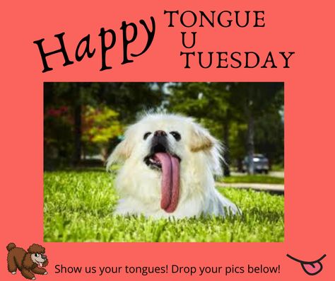 Tongue Out Tuesday, Happy Tuesday, Stick It Out, Happy Valentine