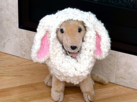 Retweeted / Twitter Lamb Ears, Sheep Hat, Sheep Costumes, Dog Fluffy, Fluffy Sheep, Ear Hat, Dog Snood, Gnome Hat, Pixie Hat