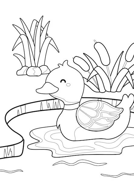 Premium Vector | Coloring pages for kids a4 page in a pond theme Pond Coloring Pages, Duck Cartoon Cute, Vector Coloring Pages, Cute Coloring Page, Duck Cartoon, Friend Crafts, Pond Life, A Pond, School Time