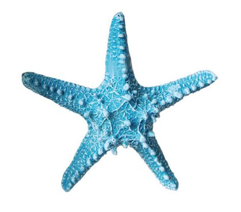 Aankopen - Starfish - Sea Star - Turquoise Blue - 22 cm available to buy online at @TAKEALOT We offer fast, reliable delivery to your door. https://www.takealot.com/aankopen-starfish-sea-star-turquoise-blue-22-cm/PLID90220806 Beach Icon, Summer Icon, Star Fish, Red Velvet Joy, Sea Star, What Makes You Happy, Phone Themes, Under The Sea, Blue Ocean