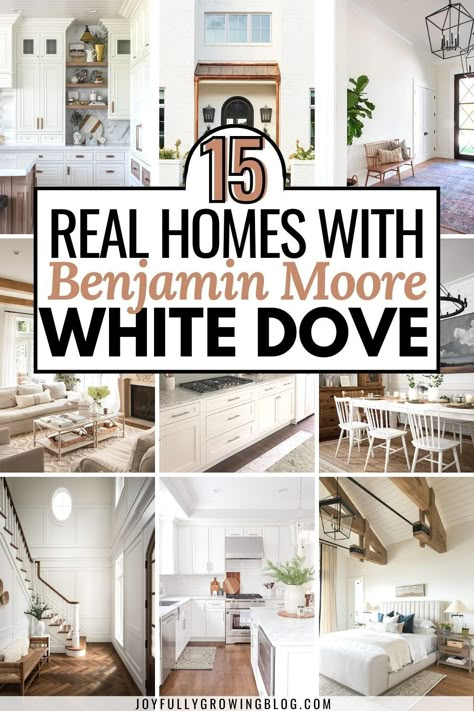 Benjamin Moore White Dove is a perfect white paint. See it in REAL spaces and find out what's the best trim color to pair it with, other White Dove coordinating colors like Pale Oak, and photos of White Dove on kitchen cabinets, living room walls, as well as White Dove on exterior brick. Get white paint color ideas for using White Dove in this White Paint Review post! White Dove With Revere Pewter, White Dove Whole House Palette, Benjamin Moore White Sand Kitchen, White Dove Benjamin Moore Trim, White Dove Trim And Doors, Benjamin Moore White Dove Living Room, White Dove Dining Room, White Dove Basement Walls, White Painted Walls Living Room