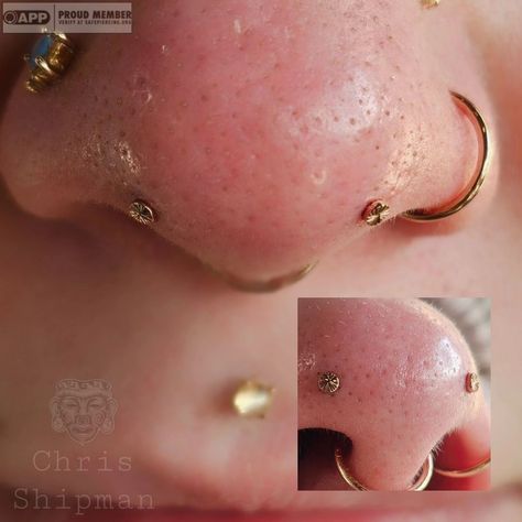 Chris Shipman | Here's another piercing that I get to check off the bucket list. This was my first time ever getting to do these Mantis piercings (forward… | Instagram Mantis Piercing, Septum Stack, Piercing Inspo, Piercing Nose, Face Piercings, The Bucket List, Body Piercings, Eye Makeup Art, Nose Piercing