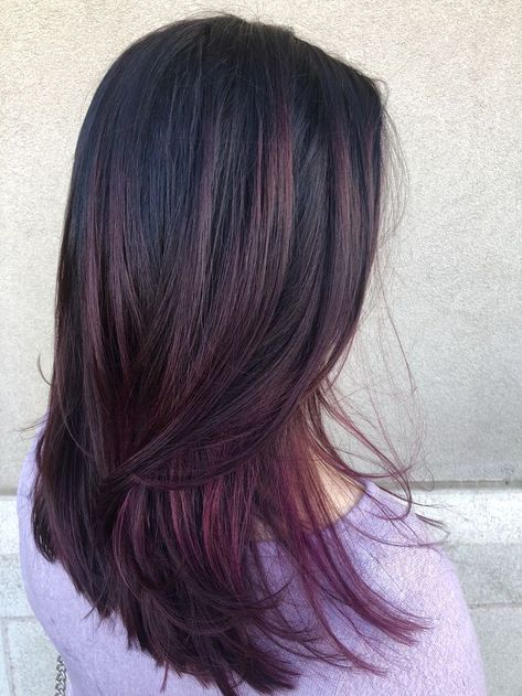 Plum Hair Color Highlights, Black With Violet Highlights, Plum Hair Highlights, Black Hair Purple Highlights, Hair Fall 2022, Plum Red Hair, Plum Purple Hair, Wine Red Hair Color, Dye Hair Ideas