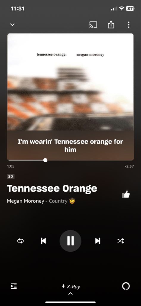 Orange Song, Megan Moroney, Tennessee Orange, Hot Song, Rocky Top, University Of Tennessee, Paper Crafts Diy, Song Lyrics, Rocky