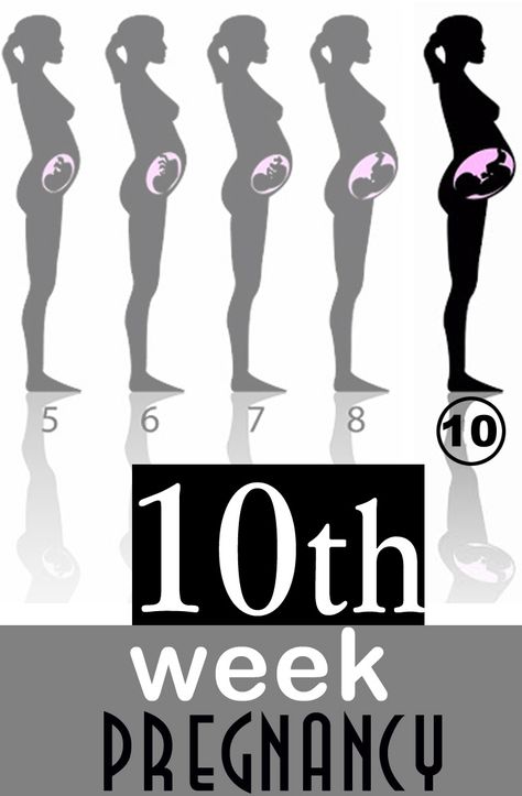 Congratulations!You are now 10 weeks pregnant, this week 10 is a busy one & marks the start of the embryonic period. Read more about your baby's development 10 Weeks Baby Bump, 10 Weeks Pregnant Bump, Week 10 Pregnancy, 10 Week Pregnancy, 10 Week Baby Bump, 10 Weeks Pregnant Symptoms, 10 Weeks Pregnant Belly, Bump Progression, Pregnant Symptoms