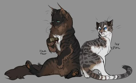 Hawkfrost X Ivypool, Cat Atonomy, Hawkfrost Fanart, Warrior Cats Morph Ideas Short Hair, Hawkfrost Design, Ivypool Warrior Cats, Hawkfrost Warrior Cats, Warrior Cat Oc Ideas, Warrior Cat Morphs