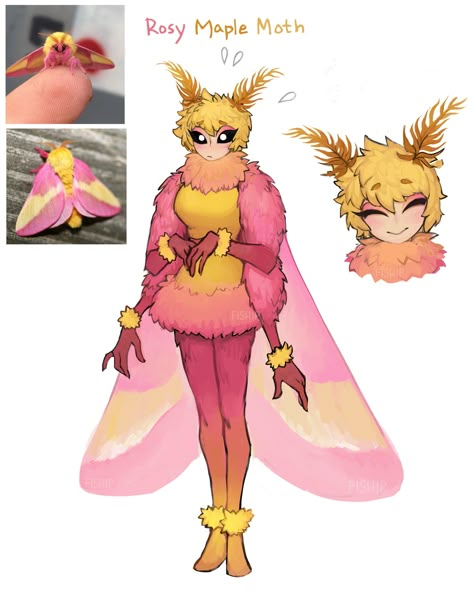 Rosy Maple Moth! | Gijinka / Moe Anthropomorphism | Know Your Meme How To Draw Fantasy Creatures, Human Butterfly Art, Moths As Humans, Moth Oc Art, Butterfly Character Design, Insect Oc, Moth People, Moth Oc, Maple Moth