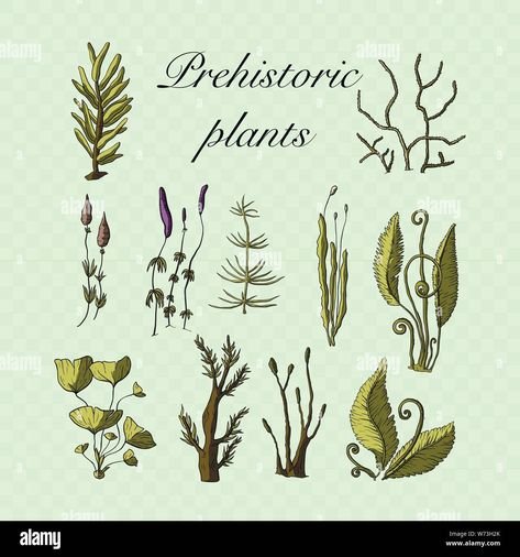 Prehistoric Plants, Plants Vector, Plants Illustration, Plant Vector, Plant Drawing, Plant Illustration, Flower Clipart, All About Plants, Single Image