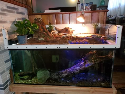 Mud Turtle Tank Setup, Painted Turtle Tank Ideas, Turtle Stock Tank, Turtle Tank Cabinet, Pet Turtle Aesthetic Tank, Turtle Paludarium, Diy Turtle Basking Platform Above Tank, Turtle Tank Ideas, Aquatic Turtle Habitat