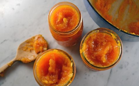 Jared, ready to sterilize | labellasorella.com Squash Jam, Grape Jam Recipe, Butternut Squash Cake, Instant Pot Baby Food, Freezing Food Storage, Butternut Squash Pizza, Roasted Kabocha Squash, Tomato Jam Recipe, Butternut Recipes