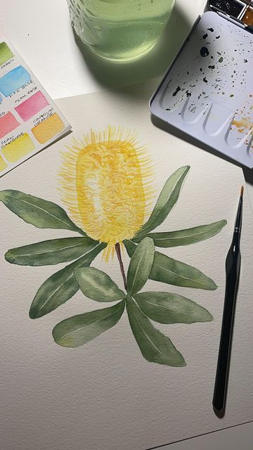 Banksia watercolour art Australian Native Watercolour, Freesia Watercolor Painting, Banksia Watercolour, Banksia Watercolour Painting, Banksia Artwork, Wattle Watercolour Painting, Winsor And Newton, Winsor And Newton Watercolor, Australian Flora