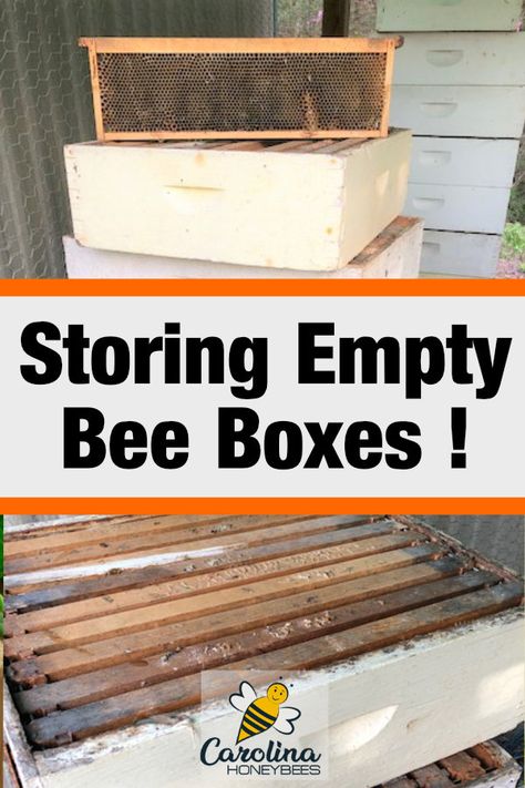 Honey Harvesting Beekeeping, Hive Stand Ideas, How To Store Honey, Bee Hive Stand, Bee Equipment, Bee Keeping Hives, Wax Moth, Honey Bees Keeping, Hive Stand