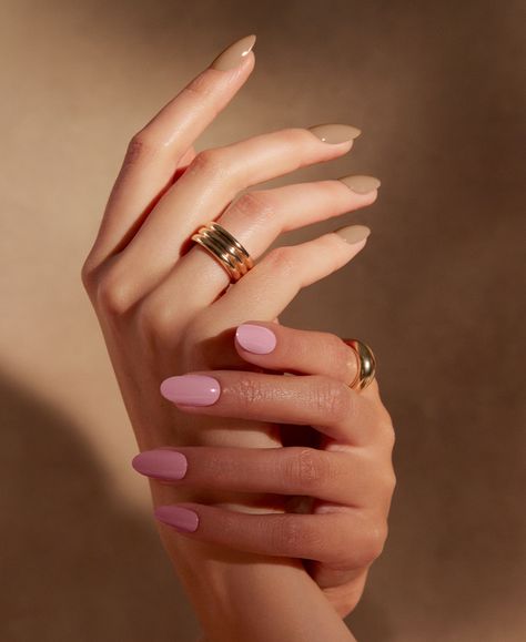 Nail Polish Campaign, Elegant Hand Poses, Nail Campaign, Manicure Photography, Photoshoot Nails, Hand Modelling, Elegant Hands, Pop Nails, Fan Nails