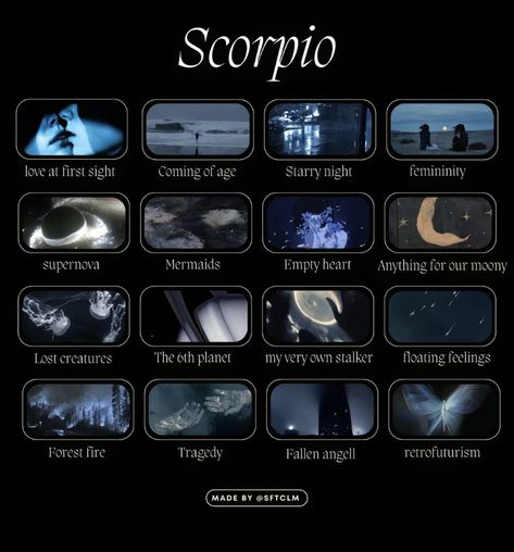 Scorpio + Core + Aesthetic, Scorpio Core, Scorpio Aesthetic, Scorpio Planet, Aquarius Scorpio, Scorpio Art, Aquarius And Scorpio, Taurus And Aquarius, Character Prompts