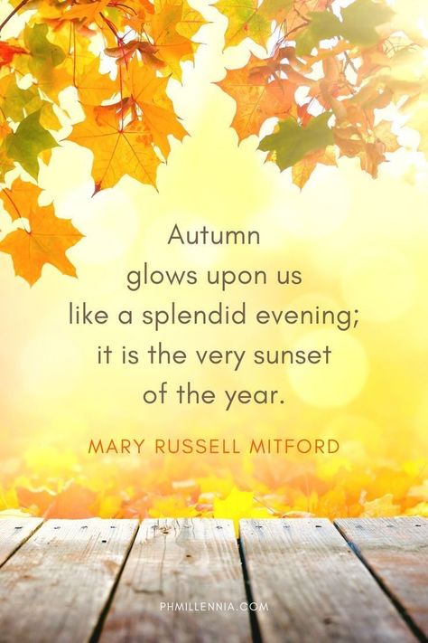 Fall Is In The Air Quotes, Autumn Sayings Quotes, Autumn Journaling, Fall Season Quotes, Fall Poems, Pumpkin Quotes, Autumn Poems, Air Quotes, Fall Quotes