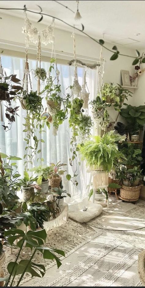 Room For Plants, Inside House Plants, Bedroom Plants Decor, Hanging Indoor Plants, Practical Magic House, Green Room Decor, Home Library Design, Plant Decor Indoor, Bedroom Plants