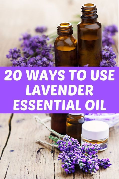 Lavender Oil Uses, Uses For Lavender, Lavender Essential Oil Benefits, Lavender Oil Benefits, Lavender Essential Oil Uses, Lavender Uses, Lavender Benefits, Essential Oils For Sleep, Sleep Remedies