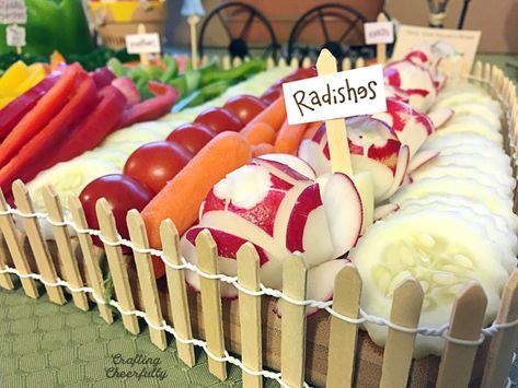 Create a cute garden-themed vegetable platter for your next spring or summer gathering! This fun veggie tray is a great way to include veggies at your party and decorate your food table! Garden Theme Food, Winnie The Pooh Food, Food Party Ideas, Vegetable Dip Recipe, Garden Baby Shower Theme, Vegetable Crisps, Peter Rabbit Party, Vegetable Tray, Vegetable Platter