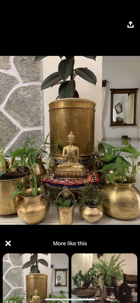 Brass Planters Ideas, Brass Planters, Indoor Plant Display, India Home Decor, Brass Pot, Plant Display, Brass Planter, Indian Homes, Indoor Plant