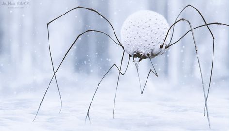 Snow Spider, Jia Hao on ArtStation at https://www.artstation.com/artwork/4mPY4 Snow Monster, Kunstjournal Inspiration, Arte Alien, Creature Artwork, Alien Concept, Alien Creatures, Creature Drawings, Monster Concept Art, Alien Art