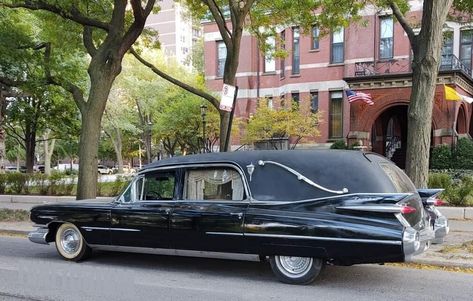 1959 Cadillac Landau Hearse by Eureka 1959 Cadillac, Beetle Car, Last Ride, Car Goals, Super Luxury Cars, Classy Cars, Pretty Cars, My Dream Car, Future Car