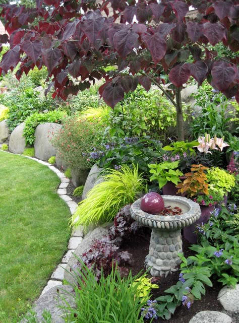 Washington State Backyard Ideas, Japanese Forest, Shade Garden Plants, Small Backyard Gardens, Meteor Garden 2018, Front Yards, Fine Gardening, Small Garden Design, Gorgeous Gardens