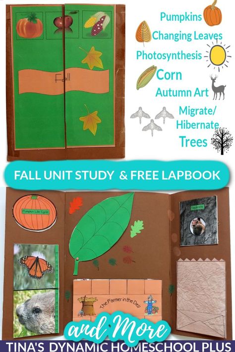 Fall Unit Study {Pumpkins, Leaves, Corn, & More}. Grab this free fall unit study and free fall lapbook for your younger learners. There are 36 minibooks in all. You’ll learn about the fall season, corn, migrating, hibernating, do some autumn art, make a fun recipe or two and free fall copywork. There is a mini pumpkin life cycle book and poetry. Why do leaves change colors and there are some minibooks to include your older children. #fallunitstudy #fallseason #falllapbook Fall Copywork, Fall Unit Study, Season Corn, Farmer In The Dell, Pumpkin Life Cycle, Homeschool Fun, Toddler Homeschool, Homeschool Crafts, Homeschool Encouragement