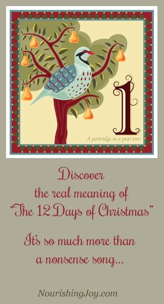 Popular Christmas Songs, 12 Days Of Xmas, Christmas History, Catholic Christmas, The 12 Days Of Christmas, Twelve Days Of Christmas, Christmas Song, Christmas Advent, 12 Days Of Christmas