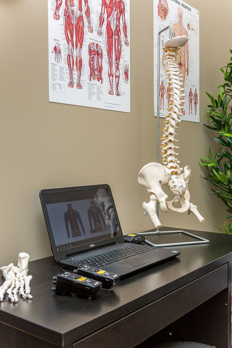 Williamson County Chiropractic Chiropractic Student Aesthetic, Chiropractic Aesthetic, Physical Therapy Office Design, Chiropractor Aesthetic, Physiotherapist Aesthetic, Occupational Therapy Aesthetic, Physiotherapy Aesthetic, Physio Therapy, Chiropractic Office Design