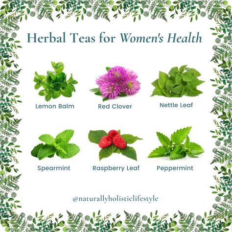 #NutritionTips #HealthyLifestyle #SelfCare #FitnessTips #Wellness #HealthyLiving #FitLife #HealthTips Red Clover Benefits For Women, Rasberry Red Leaf Tea Benefits, Red Clover Tea Benefits, Nettle Leaf Tea Benefits, Clover Benefits, Red Clover Benefits, Nettle Tea Benefits, Illness Remedies, Plant Magick