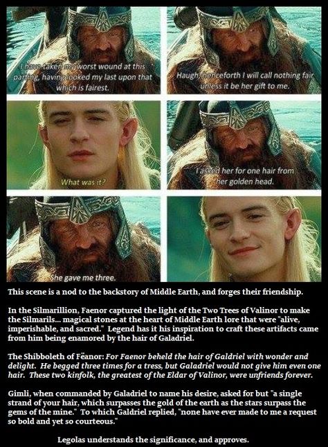 Gimli And Galadriel, Lotr Legolas, Legolas And Gimli, Lotr Elves, Lotr Funny, Lotr Art, Hobbit Hole, Fellowship Of The Ring, Celebrities Humor