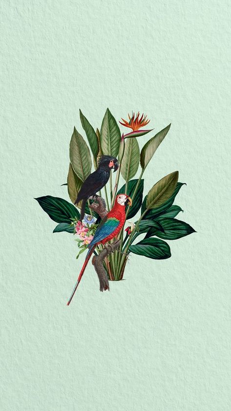 Vintage parrots iPhone wallpaper, botanical illustration. Remixed by rawpixel. | premium image by rawpixel.com / Adjima Rawpixel Background, Boho Wallpapers, Parrot Illustration, Birds Artwork, Tropical Prints Pattern, Parrot Wallpaper, Wallpaper Forest, Indian Motif, Wallpaper Botanical