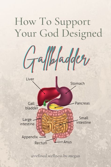 Causes Of Gallbladder Stones, Gaul Bladder Diet, Gallbladder Healing Diet, Holistic Healing Gallbladder, Gallbladder Relief Remedies, Supplements For Gallbladder Health, Gall Bladder Flush, Gull Bladder Cleanse, Natural Gallstone Remedy