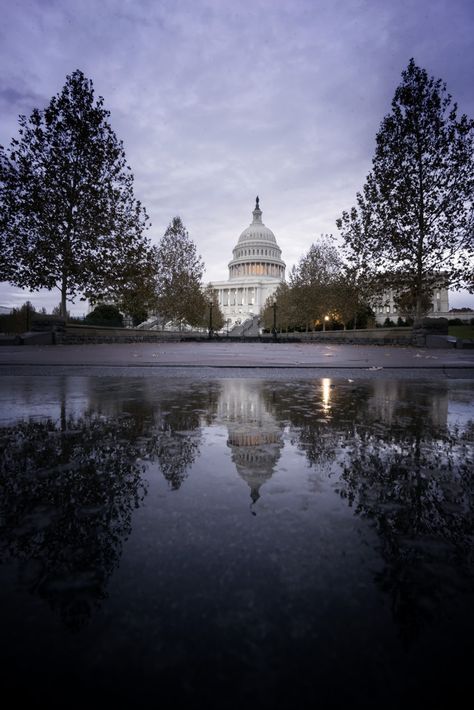 Washington Dc Wallpaper, Dc Wallpaper, Visit Dc, United States Capitol, Jefferson Memorial, Washington Dc Travel, Dc Travel, Us Capitol, Washington Monument