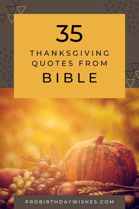 35 Best Thanksgiving Quotes from Bible - Here are the Top Religious Christian Thanksgiving Quotes that will make you feel spiritual on this day ! Christian Thanksgiving Quotes, Religious Thanksgiving Quotes, Thanksgiving Quotes Bible, Mass Quotes, Quotes From Bible, Thanksgiving Quotes Christian, Christian Thanksgiving, Giving Quotes, Thanksgiving Prayer