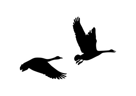 Pair Of Flying Geese Silhouette Geese Silhouette, Geese Tattoo, Goose Silhouette, Goose Tattoo, Pair Tattoos, Silhouette Tattoo, Art Education Projects, Nativity Silhouette, Tombstone Designs