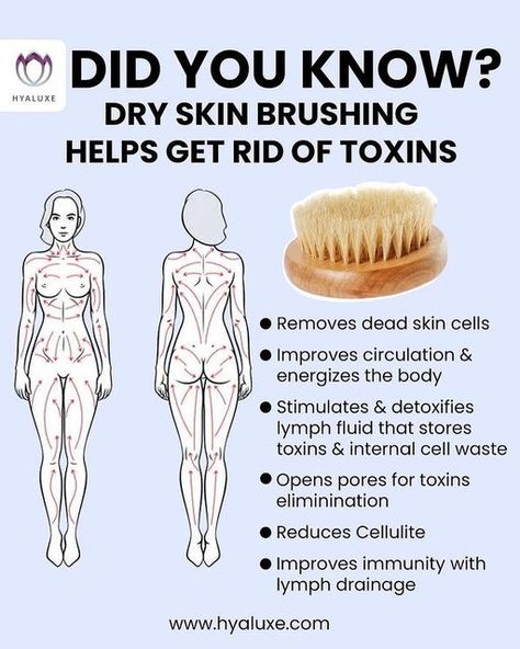 Mother Nature Heals on Instagram: "Comment below whether or not you dry brush 🥰 Medium bristles are best for legs and bum while softer bristles are usually more accommodating to the more sensitive belly skin 😁 Follow us @naturethecure for tips like this every day 🙏 Follow our new page @betterremedies for natural remedies 🌱🙏 Cr: @hyaluxe 🙏👍 Please DM for credit or removal" Dry Skin Brushing, Lymph Drainage Massage, Dry Brushing Skin, Drainage Massage, Lymph Fluid, Lymph Massage, Lymph Drainage, Dry Body Brushing, Skin Brushing