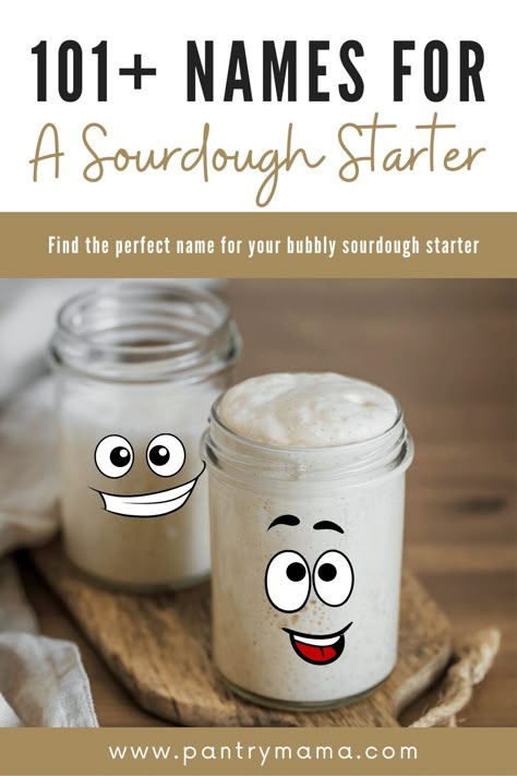 Sourdough Bread Healthy, Best Sourdough Starter, Sourdough Tips, The Pantry Mama, Dough Starter Recipe, Pantry Mama, Sourdough Starters, Sourdough Starter Bread, Beginner Sourdough