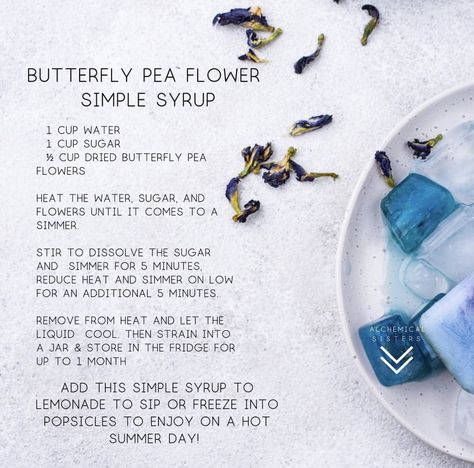 Ricetta per il butterfly pea flower Herbal Mocktails, Tea Magick, Pea Flower Tea, Herbal Tea Garden, Butterfly Pea Tea, Butterfly Pea Flower Tea, Blue Drinks, Butterfly Pea Flower, Herbal Tinctures