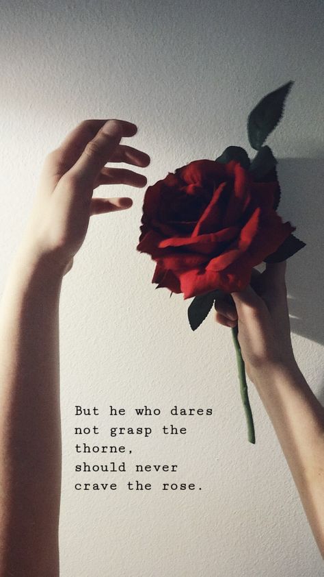 Quotes About Roses Beauty, Red Rose Quotes Love, Rose Poems Quotes Beautiful, Red Rose Captions For Instagram, Red Roses Quotes Beauty, Roses Quotes Aesthetic, Rose Quotes Aesthetic, Rose Quotes Poetry, Rose Quotes Inspirational Short