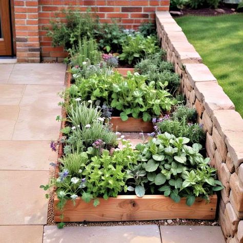 40 Herb Garden Ideas to Inspire Your Green Thumb Formal Herb Garden Design, Herb Bed Ideas, Herb Garden Ideas Outdoor Backyards, Herb Garden Outdoor Raised Beds, Raised Herb Garden Ideas, Herb Gardens Outdoor Design, Patio Herb Garden Ideas, Outdoor Herb Garden Ideas, Window Box Herb Garden