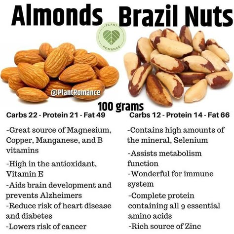 Walnuts Benefits, Brazil Nuts Benefits, Nuts Health Benefits, Nuts Nutrition, Nut Benefits, Nut Trees, Healthy Nuts, Food Health Benefits, Brazil Nuts