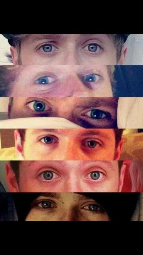 @Real_Liam_Payne: Imagine niall looking at you with those eyes like your the only woman in the world I CAHNT BREAUTHEE #BeAFanDay  (STAHP) One Direction Niall, Irish Princess, Liam James, Irish Boys, James Horan, 1d And 5sos, I Love One Direction, 1 Direction, Liam Payne