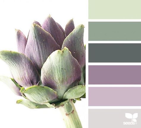 Design Seeds Color Palette, Seeds Color Palette, Seeds Color, Color Schemes Design, Purple Color Schemes, Purple Color Palettes, Paint Color Schemes, Color Schemes Colour Palettes, Room Color Schemes