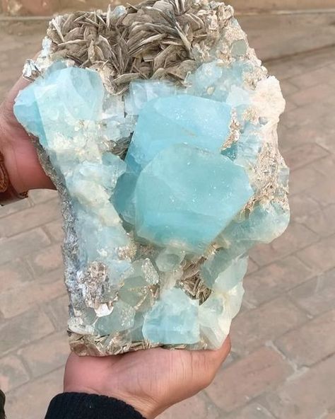 Muhammad Majid on Instagram: "Minerals: ❇️ AQUAMARINE with MICA ❇️ Museum Grade huge size Terminated Aquamarine crystals with mica. Weight : 6.3 kg Specimen size : 245*155*125 mm Crystals Sizes : 75*73*45 mm , 55*58*35 mm Origin : Nagar Mine Skardu Pakistan #aquamarine #aquamarines #aquamarinecrystal #aquamarinecrystals #aquamarinespecimen #aquamarinestone #aquamarinelove #tourmalinekingsworldwide #mica #crystals #crystalshop #crystalporn #crystalsofinsta #minerals #mineralsparadise #mineralsofig #mineralspecimen #minerology #gemstones #gems #gemporn #geology #geologypage #geologyrocks #geologists #rockhounds #rockhounding #giveaway #crystalsale #crystaladdiction" Crystal Room, Magic Stones, Skardu Pakistan, Geology Rocks, Cool Rocks, Aquamarine Crystal, Beautiful Rocks, Mineral Stone, Minerals And Gemstones