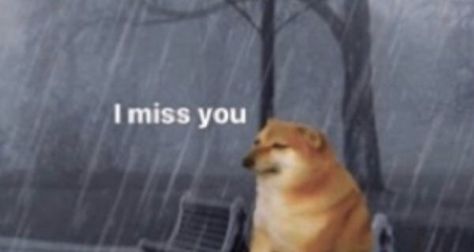 Relationship Stickers For Snapchat, I Miss You Snapchat Stickers, Missing You Reaction Pic, Reaction Pictures For Boyfriend, I Miss You Cat Reaction, Wake Up I Miss You Reaction Pic, I Miss You Funny Pics, Miss U Reaction Pic, Miss You Sticker