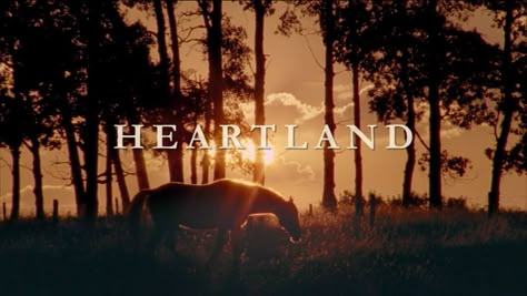 Heartland! Heartland Aesthetic, Heartland Horses, Heart Land, Heartland Quotes, Heartland Amy, Heartland Ranch, Heartland Seasons, Amy And Ty, Heartland Tv Show