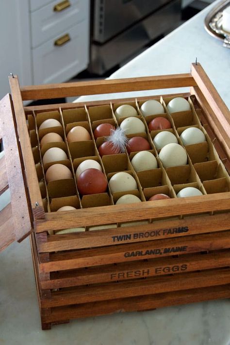 Collecting eggs & Ironstone. What I got at Christie's Antique Sale. |The Art of Doing Stuff Egg Baskets, Mess Hall, Collecting Eggs, Vegetable Boxes, Root Cellar, Wood Eggs, Egg Crates, Egg Box, Birds Nest