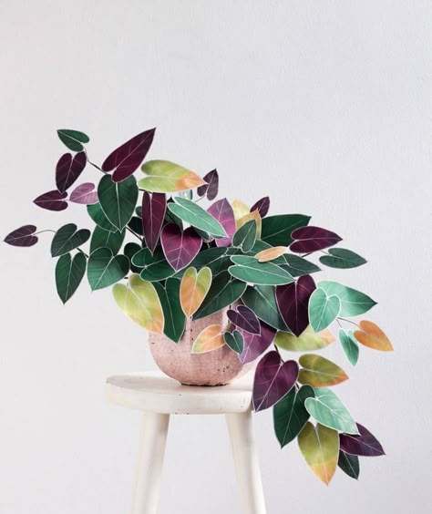 Plant Goals, Paper Plants, Best Indoor Plants, House Plants Indoor, Pretty Plants, Plant Lady, Plant Life, Plant Lover, Indoor Garden